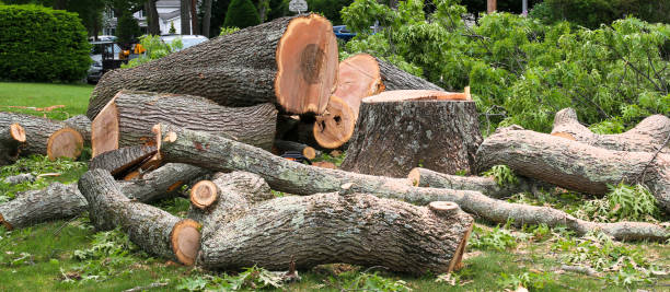 Mulching Services in Ahwahnee, CA